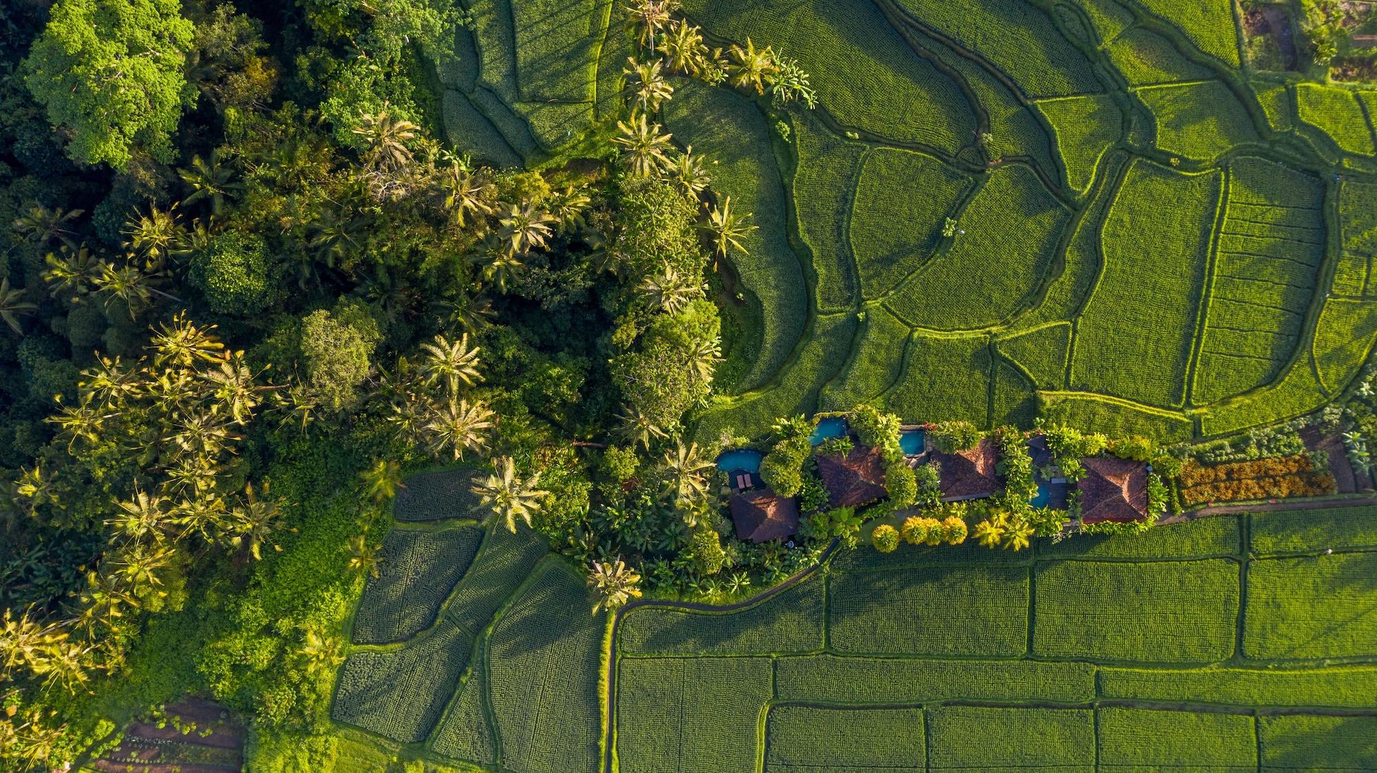 Madani Antique Villas by EPS Ubud Exterior foto